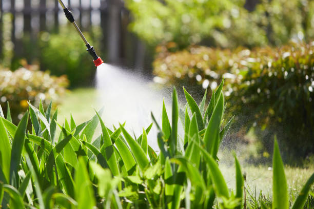 24/7 Emergency Fumigation Services experts in Stilwell, OK